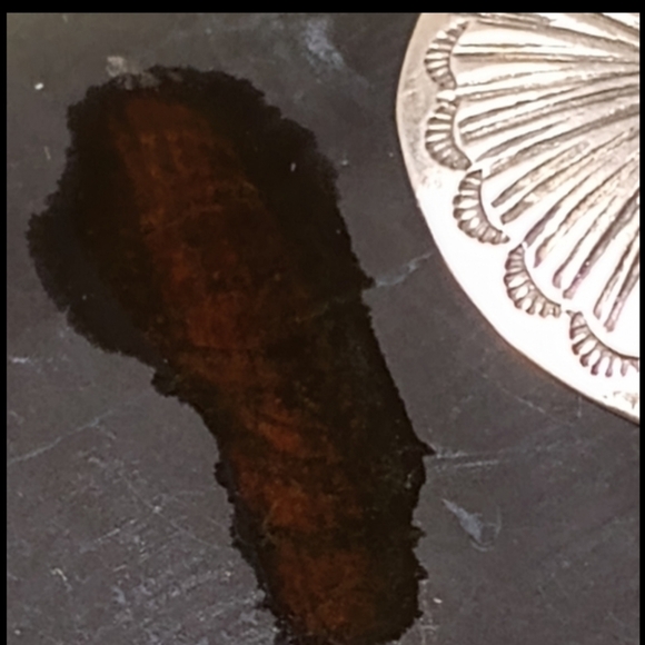 Traditional Sterling Silver Concho Dangle Earrings - Picture 4 of 13